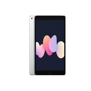 Apple 아이패드 9세대 실버 256GB, WiFi전용 미개봉 새상품 오늘출발