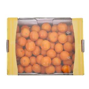 맛있게 익은 감귤(대과) 5kg 박스