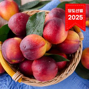 [경북산지직송] 꿀당도 잠깐 만나는 오월도 천도복숭아