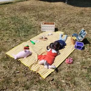 피크닉 방수 체크무늬 옐로우 매트 돗자리 중형 (WFGTDZR)