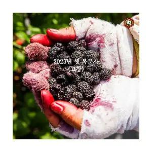 [억수로상회] 고창 토종 복분자 (특품/급냉) 2.5kg