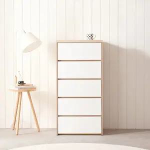 나무뜰 바렌 광폭 600 5단 서랍장 GNR083C (착불)