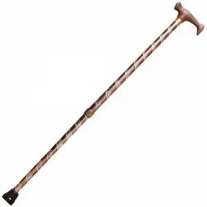 2단 고급 지팡이 할머니 (WFJZ6VI)