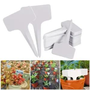 (10x6cm 100P) T자 식물 이름표/꽃화분/나무/네임택/네임/꽂이/원예/원예용/텃밭/텃밭용/화단/화단용/화분