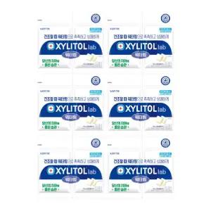 롯데 자일리톨 랩 워터링 리필 115g x6