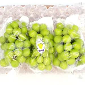 영동 샤인머스켓 4kg(4-5수)