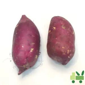 호박고구마 10Kg (왕/대/긴왕/긴대)