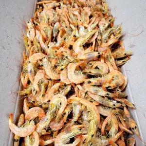 [미각] 국내산 햇 건새우 중하새우 1.5kg 볶음 조림 국물 육수