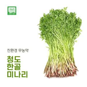 청도미나리 한골 무농약 미나리 500g
