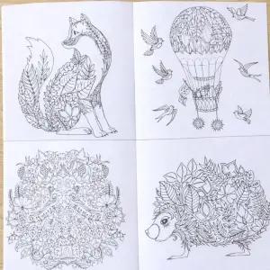 시니어  예방 색칠북 어른 컬러링북 스케치 도안 24가지 그림