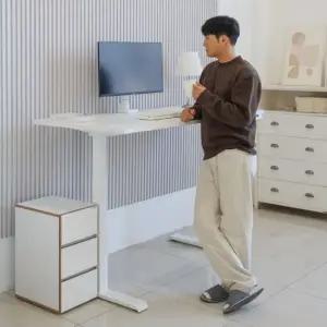 아트박스 카멜마운트 핏쳐 프리미엄 보쉬모터 모션데스크 B1 1600mm 3STEP