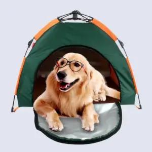 반려동물 휴대용 텐트 강아지 고양이용 폴딩 캠핑 반자동 쉘터 (WFJ5TU4)