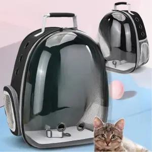 투명 고양이 가방 이동장 애견 강아지 백팩 캐리어 (WFJ5XCW)