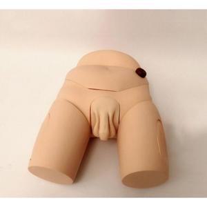 관장실습 마네킹 도뇨 모형 연습 모델 실습 삽입 피규어 사 교육 실기