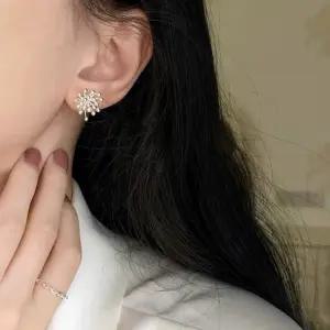 여자 스노우 스파클 실버 볼 디테일 귀걸이