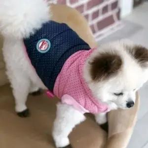 강아지 패딩 의류 쁘띠 도트 애견 외출복 패리스 스타일 겨울 옷