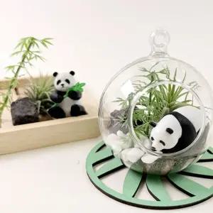 팬더 작은 대나무 정원 만들기 테라리움 공기정화 공기정화 이오난사