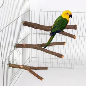1피스 15/20/30cm 새 액세서리 새장 스틱 나무 워터건 스탠드 가지 Perches Asesorips Para Aves Vogel Sto
