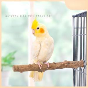 천연 나무 새 놀이대 세트  새장용 앵무새 플랫폼 해먹  발톱 갈이용 포크 씹기대