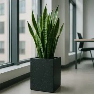 모던 시멘트 대형 사각 27x27x40cm 화분 (WFKADD3)