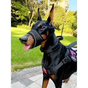 강아지용품 대형견 중형견 입마개 짖음방지 반려견 매쉬 옵시디언블랙 XS