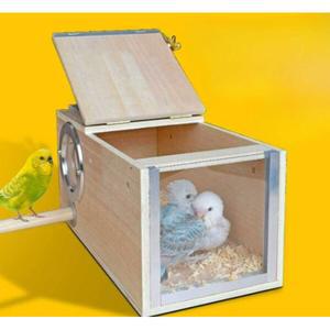 앵무새 알통 둥지 왼쪽 새끼 조류 부화 겨울 코뉴어 새집 5월 최신형 중형