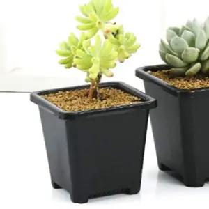 [콩심팥심]사각화분 네모 화분 6.5x6.5cm 분갈이 플라스틱 중형