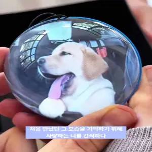 소울메모리볼 수정구슬 비디오볼 크리스탈공 크리스탈볼 추억 가족 반려동물 반려견 반려묘