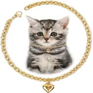하우팔리 개 목걸이 및 고양이 체인 스테인리스 스틸 조절 가능한 18K 골드 하트 모양의 작은 반려묘 키튼