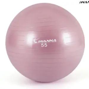 L13 안티버스터 짐볼 55cm 와일드핑크 짐볼 헬스 마사