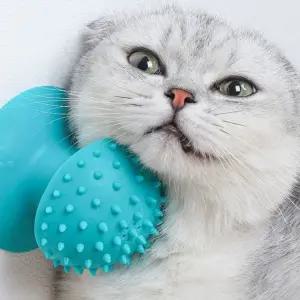 캣잎 그루밍 흡착 브러쉬 고양이 셀프 장난감 빗 반려 (WFKB8CF)