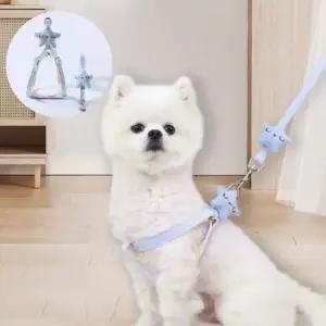 소형견 산책줄 중형견 강아지 별리드줄 애견 야외산책 (WFKB8E7)