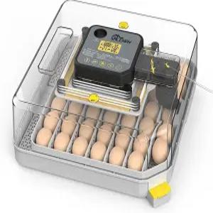 알을 부화시키기 위한 48개의 알 인큐베이터 자동 회전 및 습도 조절 급수 기능 360° 뷰 가금류 닭오리