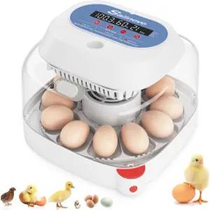 알을 부화시키기 위한 세일노보 12 알 인큐베이터 자동 회전 기능이 있는 온도 조절 습도 표시 및 닭 오리