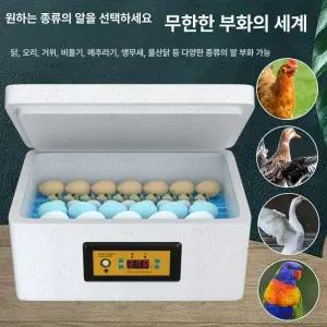 병아리부화기 조류 달걀 자동부화기 사육 계란 36란
