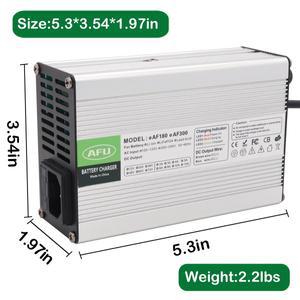 16.8V 10A 충전기 4S 리튬 이온 Lipo 배터리 팩 팬 ) 스마트 자동 정지