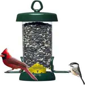브롬 튜브 솔루션 100 야생 조류 공급기 u2013 2개의 시드 포트 17파운드 용량 엑스트라 와이드 퍼치