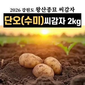 왕산종묘 강원도 단오(수미)씨감자 2kg 강원도 정품 햇감자 감자씨