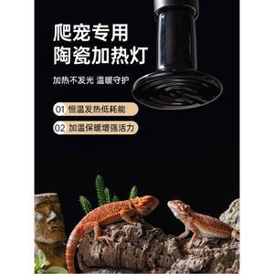 앵무새 온열등 세라믹 가열 발열 홀더 히팅기 1000W스마트온도조절기 보온등 도마