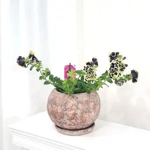 베트남 빈티지 컬러 토분 화분 루나 볼 16x15cm 로즈정원용품 분갈이 홈가드닝 식물키우기 인테리어 가벼운