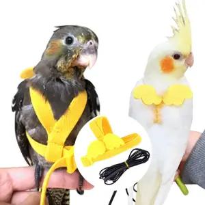 앵무새 반려새 하네스 발목링 산책 리드줄 장난감