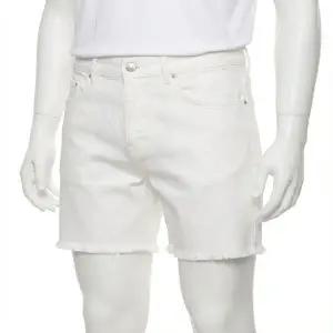 [아미]AMI 스트레이트 핏 숏 팬츠 HSO002 CO0033 168 817875