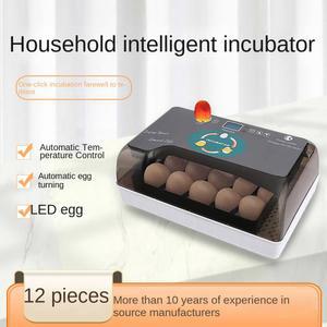병아리 부화기 스마트 브로더 소형 110V 관찰 단일배터리 220V 온도 양계장