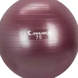 L75 임산부짐볼 테스마사지볼 짐볼 75cm 임산부짐볼