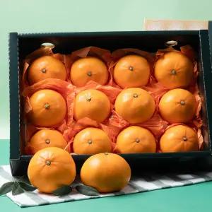 [아침이슬농원] 제주 프리미엄 선물세트 천혜향 3kg(9-15) / 부직포 미포함