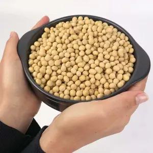 수산마을 국산 우리콩 메주콩(백태) 1kg