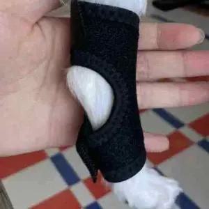 강아지 무릎보호대 슬개골 보호장치 소형견 보조기 보호대