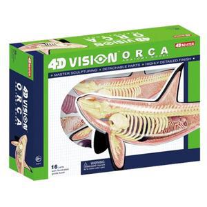 4D 비전 오르카 고래 해골 해부학 의료 모델 퍼즐 조립 장난감 교육 보조 실험실 장비