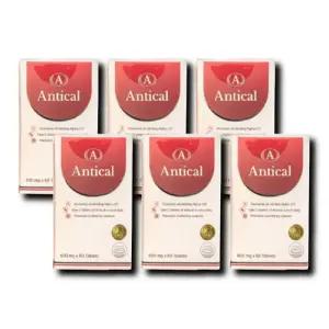 안티칼 알파 Antical 알파올라민 600mg 6박스