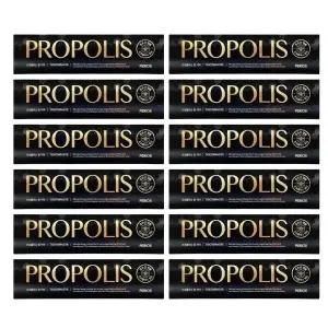 페리오 프로폴리스 치약 160g x 12개